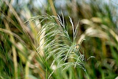 《战地2042》Alpha封测最新5分钟演示